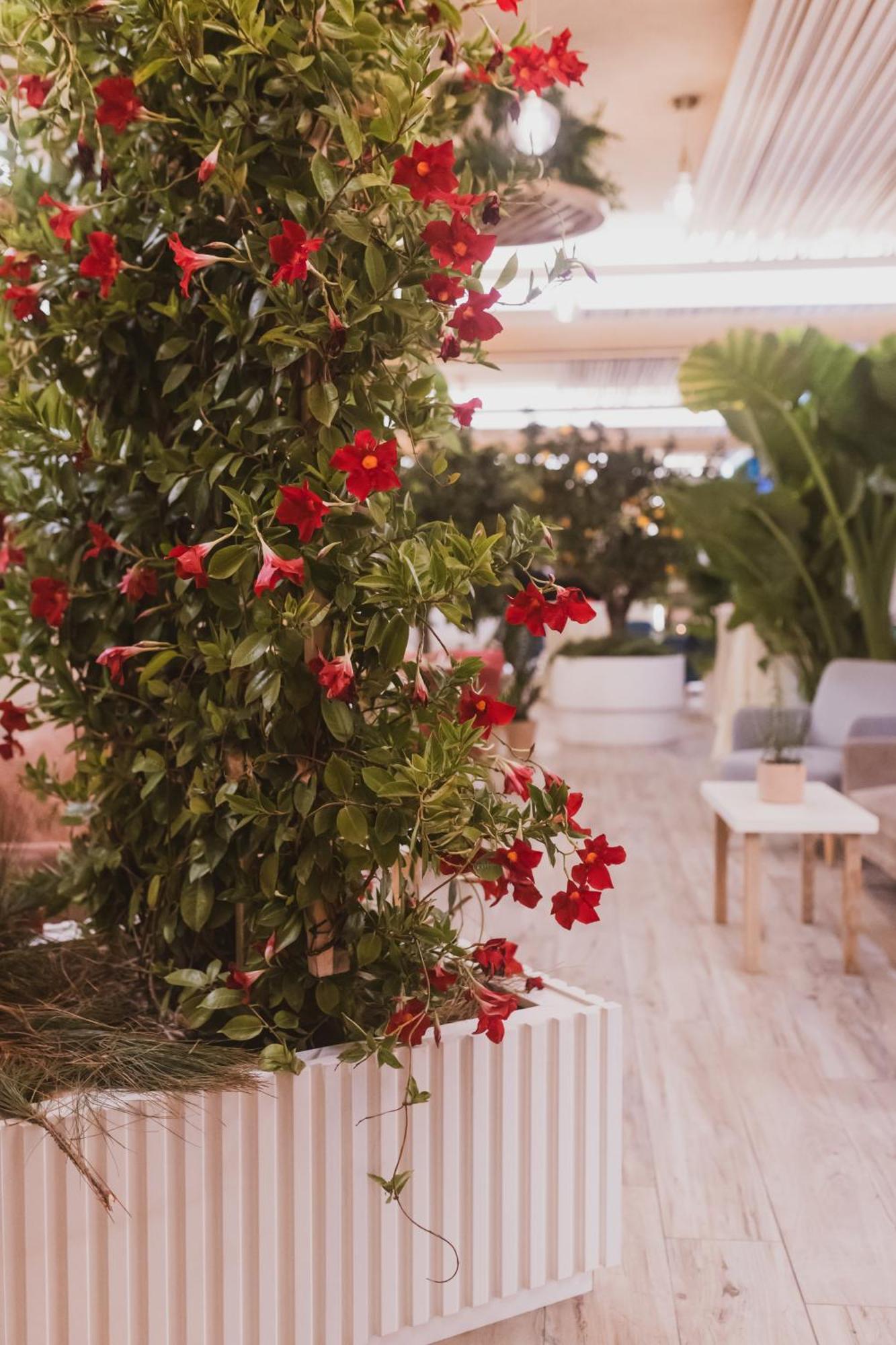Sentido Michelizia Tropea Resort Eksteriør bilde